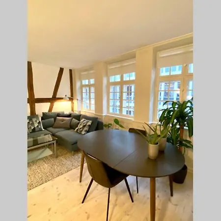 Luxury 'kings Garden' City-flat In Center Of Town Copenhague