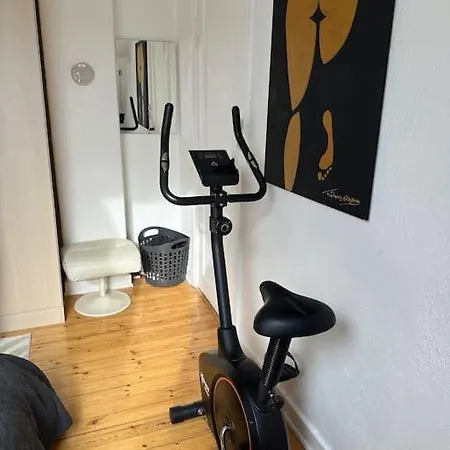 Apartament Elegant With Penthouse View In Cph