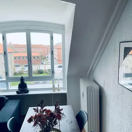 Elegant With Penthouse View In Cph Kopenhaga