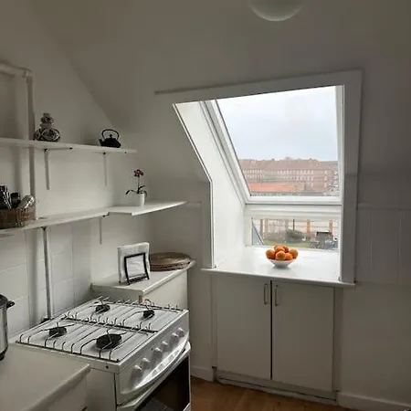 Apartament Elegant With Penthouse View In Cph Kopenhaga
