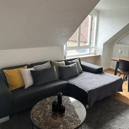 Elegant With Penthouse View In Cph Apartament