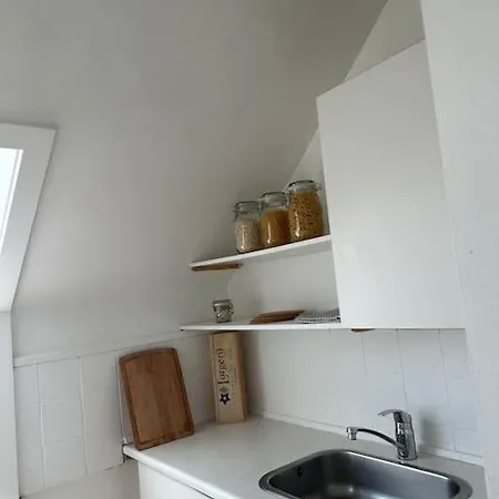 Elegant With Penthouse View In Cph Apartament