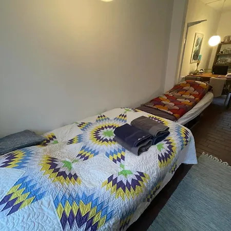 Cozy Center Chambers With Kitchen And Garden ホームステイ