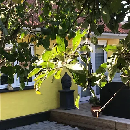 Engvanghouse Bed & Breakfast