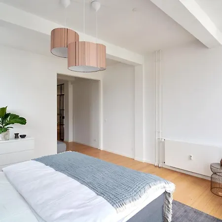 Apartamento Eksklusiv-nordisk-topbelligenhed