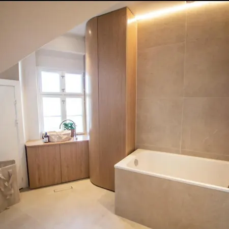 Stunning Penthouse A Location Appartement *