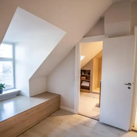 Stunning Penthouse A Location Appartement Copenhague