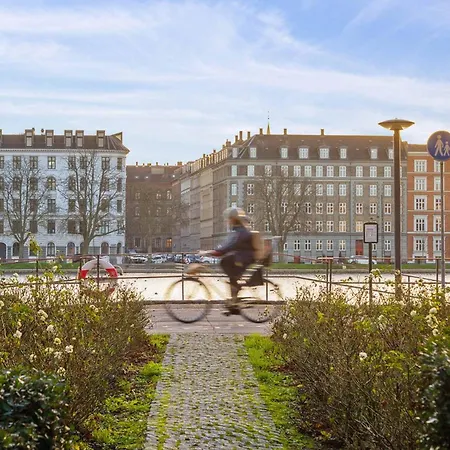 Modern Comfort In Copenhagen's Coolest District Apartment