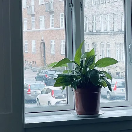 Apartmentincopenhagen 1666 * Копенгаген