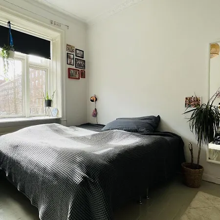 Apartmentincopenhagen 1679 公寓 哥本哈根