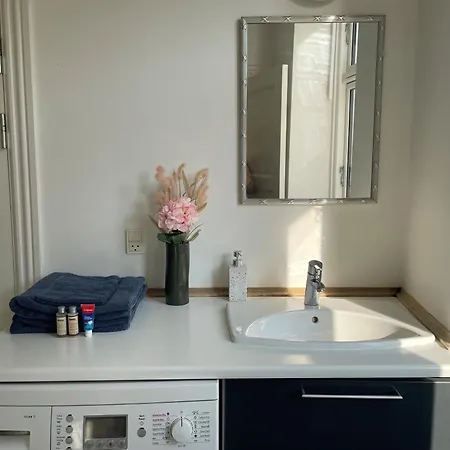 Apartment Stylish With Prime Location In Osterbro *