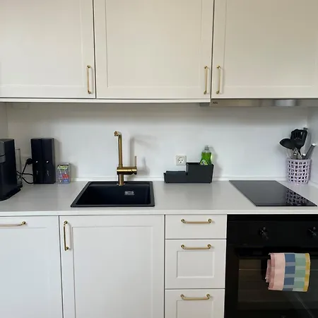 Apartment Stylish With Prime Location In Osterbro