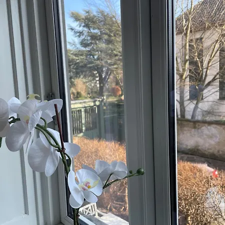 Apartment Stylish With Prime Location In Osterbro Copenhagen