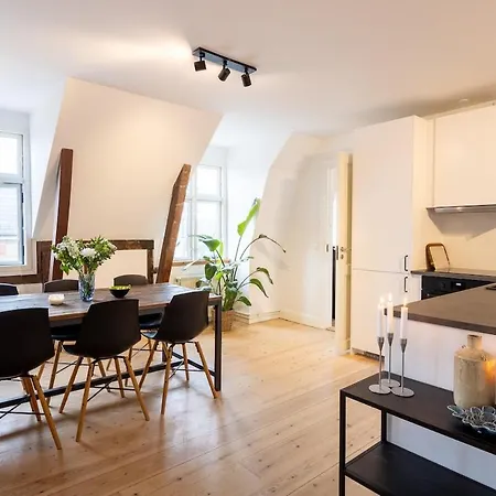 Penthouse In The Heart Of København