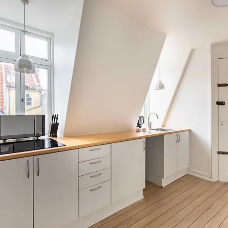 Lejlighed Rustic & Cozy 2br In Heart Of Cph By Stroget