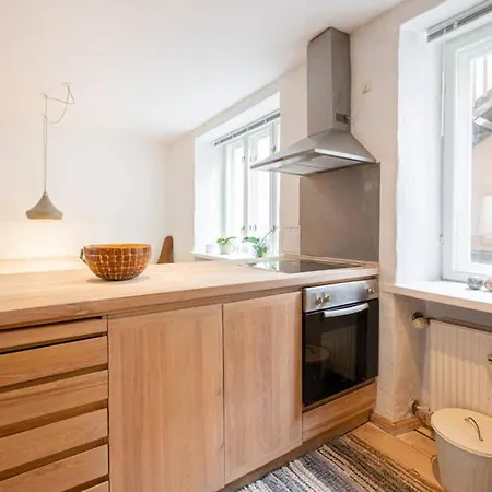 Spacious Flat In A Central, But Calm Area Of Cph Apartamento