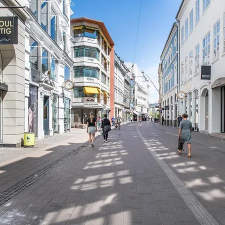 Huge Newly Redecorated Luxury Home * Copenhague