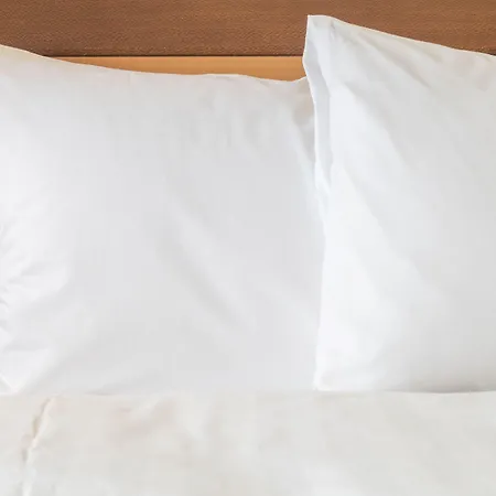 Hotel Crowne Plaza Towers By Ihg 4*