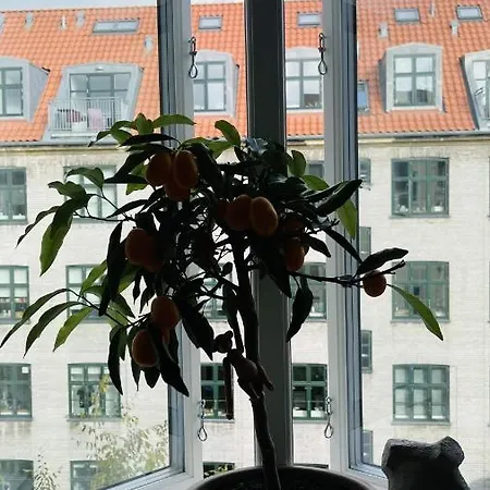 Apartmentincopenhagen 1511 København