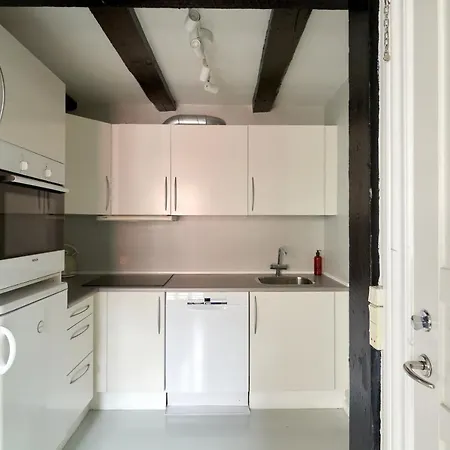 Unique 2 Bedroom Duplex W Exposed Beams In Cph * 코펜하겐