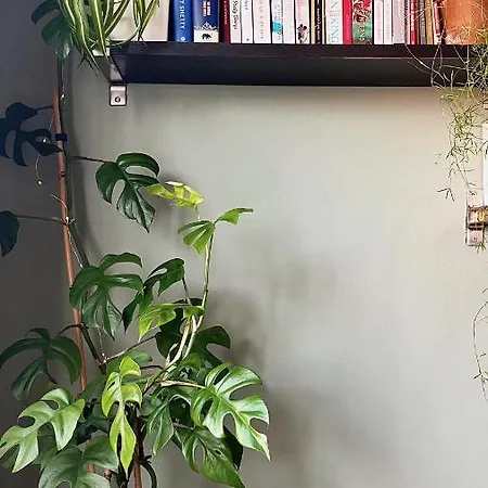 Appartement Oasis Hideaway Midst Center *