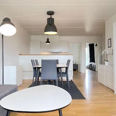 3 Bedroom At Margretheholmsvej With Balcony Near The Opera House And The Center Appartamento