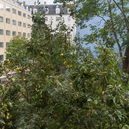 Lägenhet Midt I Hjertet Af Det Aegte - Istedgade Köpenhamn