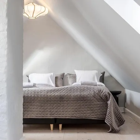Penthouse W/rooftop Terrace In Latin Quarter Lägenhet Köpenhamn
