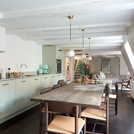 Luxury Penthouse - Private Balcony - Heart Of 公寓 哥本哈根