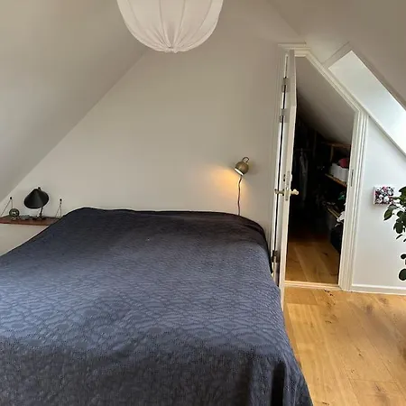 Lejlighed Penthouse Med Egen Tagterrasse København