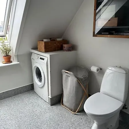 Penthouse Med Egen Tagterrasse København