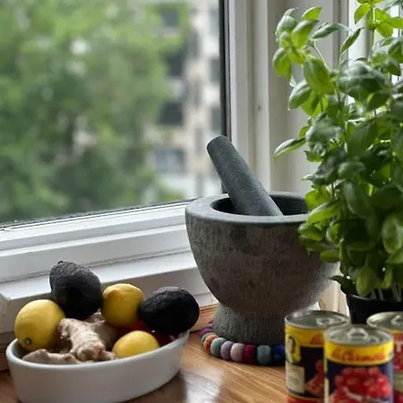 Penthouse Med Egen Tagterrasse * København