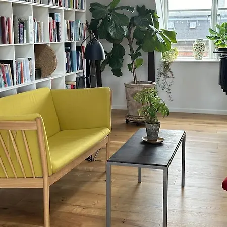 Penthouse Med Egen Tagterrasse * København