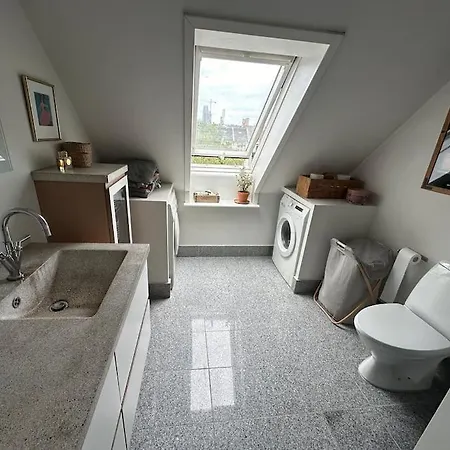 Lejlighed Penthouse Med Egen Tagterrasse *