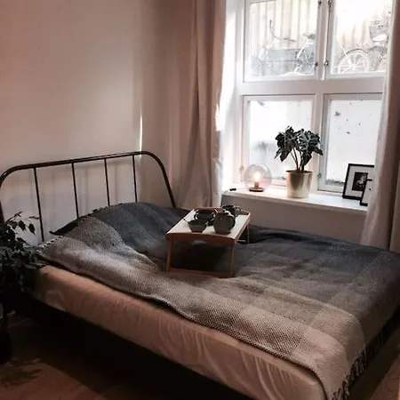 Apartment Mezzanine Design Furnished & 3m2 For Center