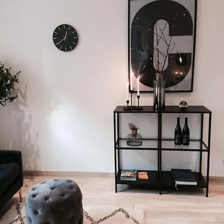 Apartment Mezzanine Design Furnished & 3m2 For Center