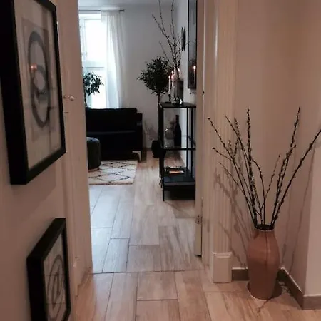 Apartment Mezzanine Design Furnished & 3m2 For Center *