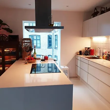 Norrebro Oasis - With 2 Cats - Families Only * København