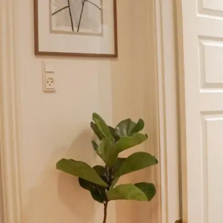Luxurious Cph Flat A Location Lägenhet Köpenhamn