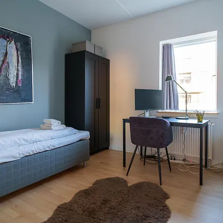 Spacious & Comfortable Near Tivoli & Metro Lejlighed København