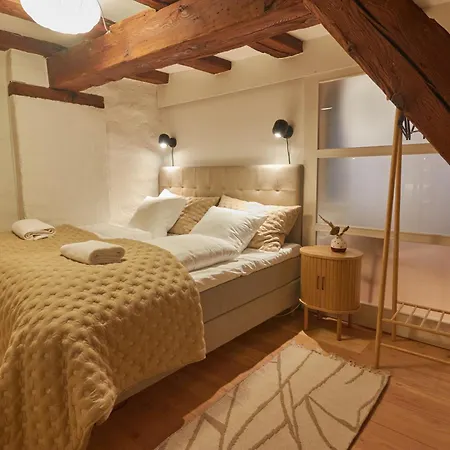 Warm 3br Loft With Exposed Beams * Copenhagen