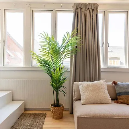 Apartment 10 Person In The Heart Of