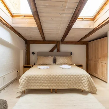 Apartment Stylish Duplex In N
