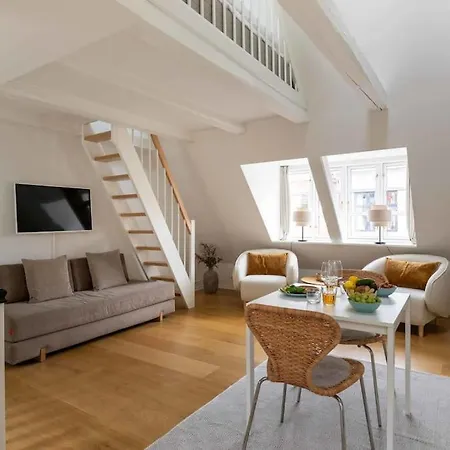 Super Cozy Flat In Downtown Cph