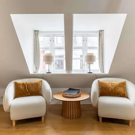 Super Cozy Flat In Downtown Cph Copenhagen