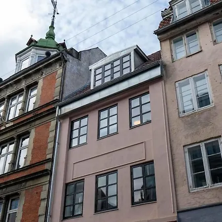 Super Cozy Flat In Downtown Cph *