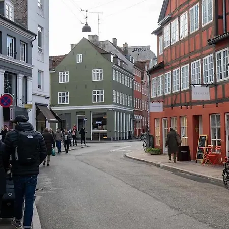 Super Cozy Flat In Downtown Cph * Copenhagen