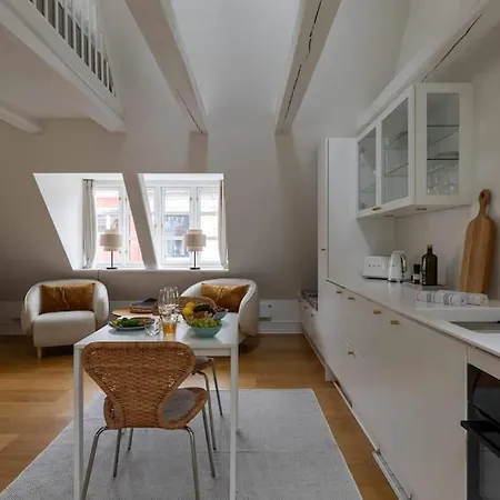 Super Cozy Flat In Downtown Cph Apartment
