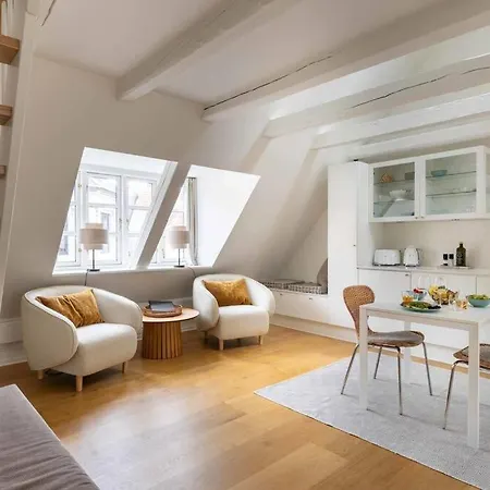Super Cozy Flat In Downtown Cph Copenhagen