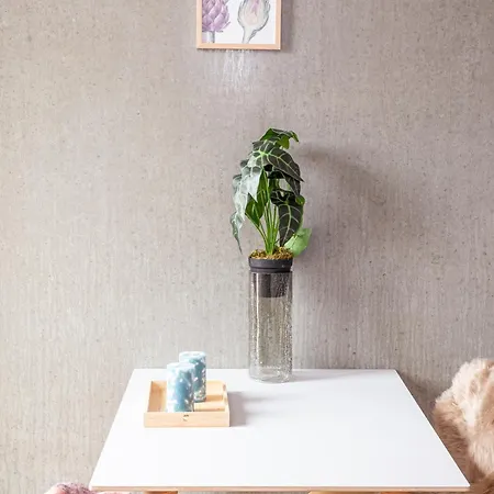Living Apartment